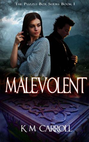 [The Puzzle Box Trilogy 01] • Malevolent